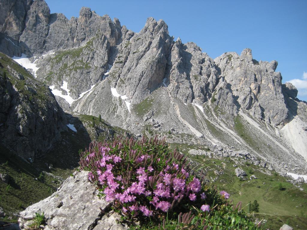 Haubenthal Apartment Villabassa Luaran gambar